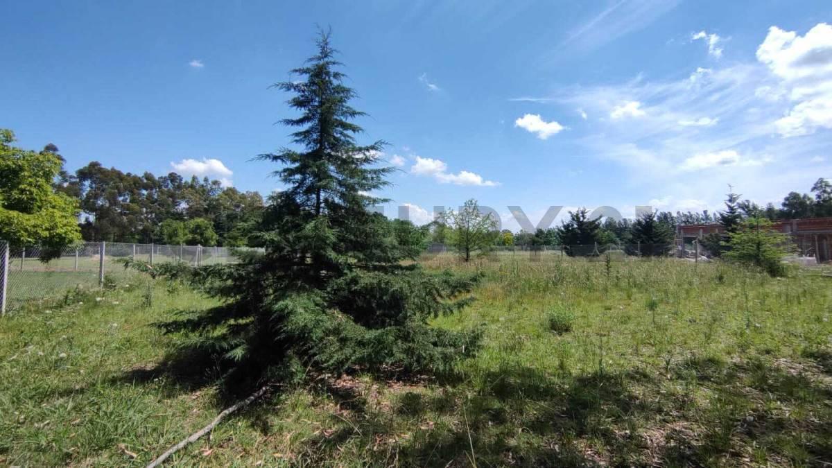 Foto de Lote terreno en venta en Arturo Segui "Los Aromos", imagen 1