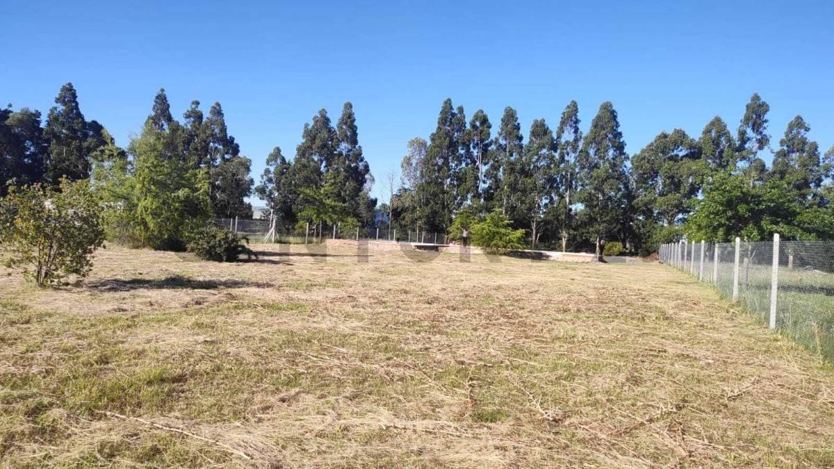 Foto de Lote terreno en venta en Arturo Segui "Los Aromos", imagen 4