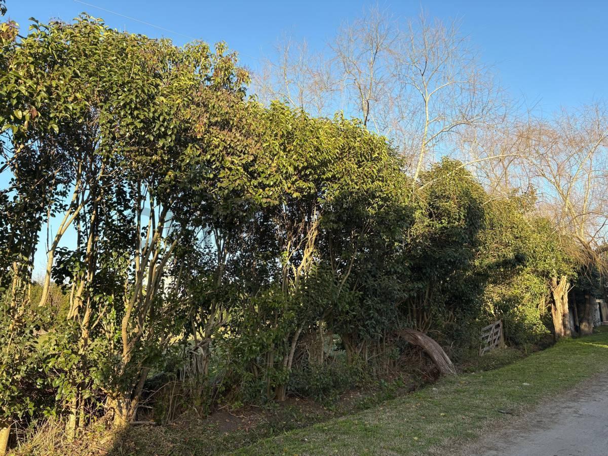 Foto de Lote terreno en venta en city bell, imagen 5