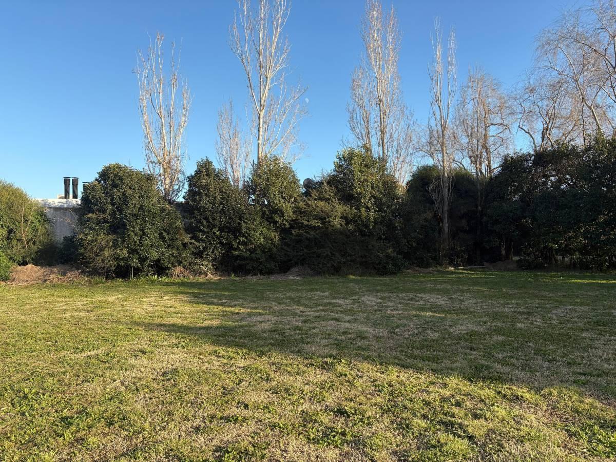 Foto de Lote terreno en venta en city bell, imagen 1