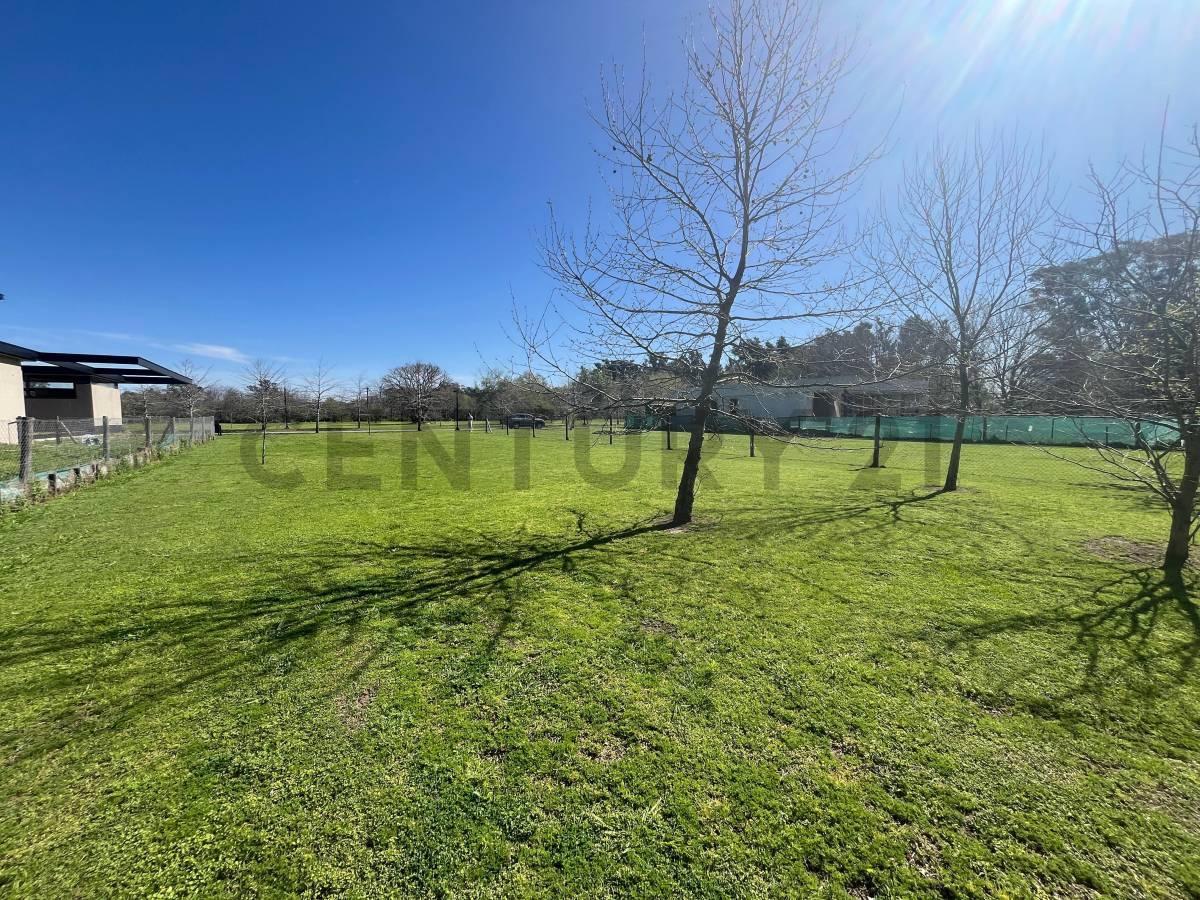 Foto de LOTE EN VENTA VILLA ELISA BARRIO VILLALBA, imagen 2