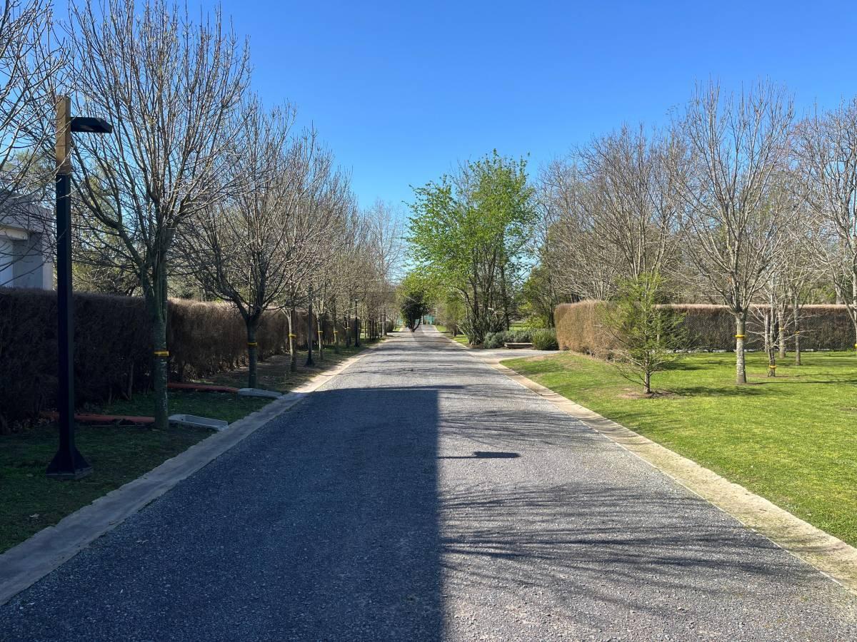 Foto de LOTE EN VENTA VILLA ELISA BARRIO VILLALBA, imagen 3