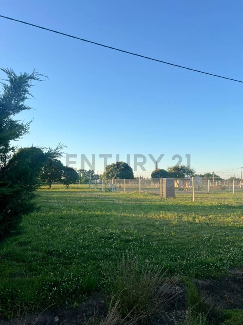 Foto de Lote en Venta en La Plata Barrio "La Armonia", imagen 5