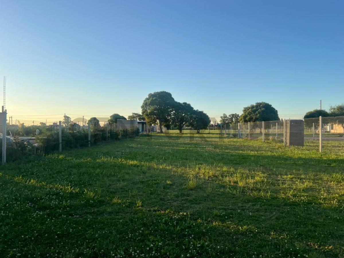 Foto de Lote en Venta en La Plata Barrio "La Armonia", imagen 4