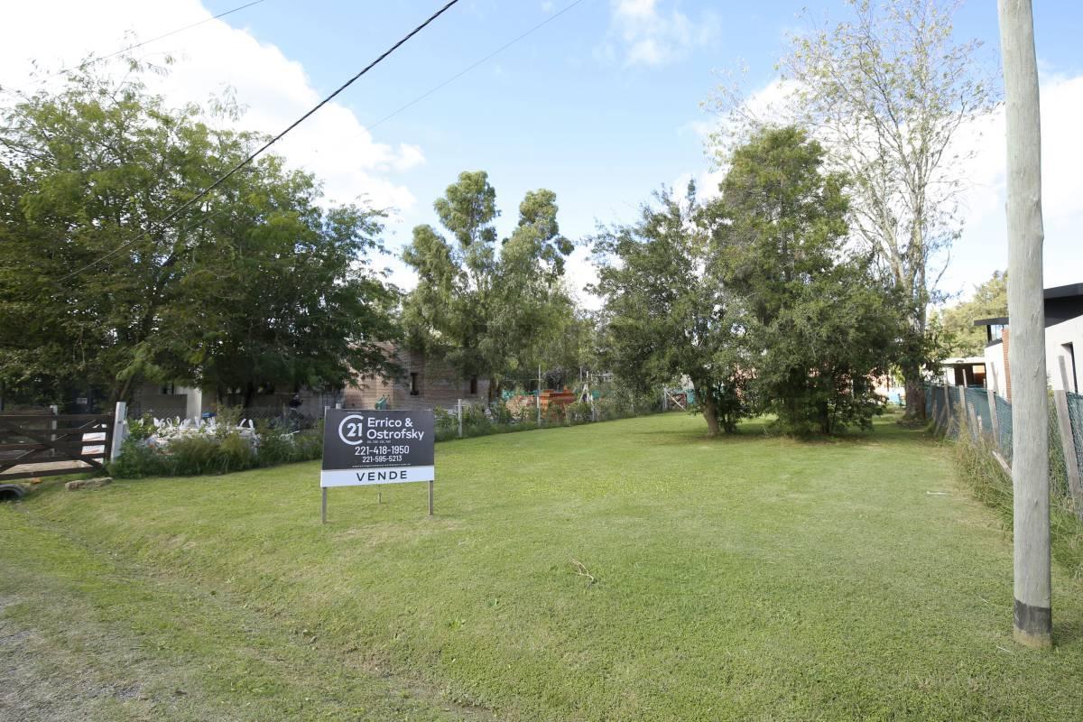 Foto de LOTE EN VENTA EN BARRIO CERRADO EN VILLA ELISA, imagen 4