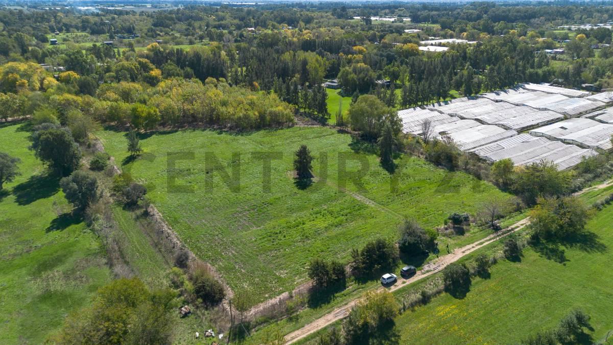 Foto de LOTE HECTAREAS EN VENTA EN ABASTO LA PLATA, imagen 2