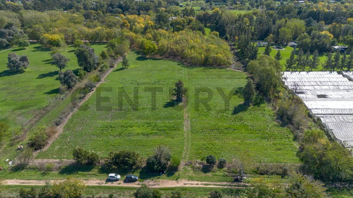 Foto de LOTE HECTAREAS EN VENTA EN ABASTO LA PLATA, imagen 3