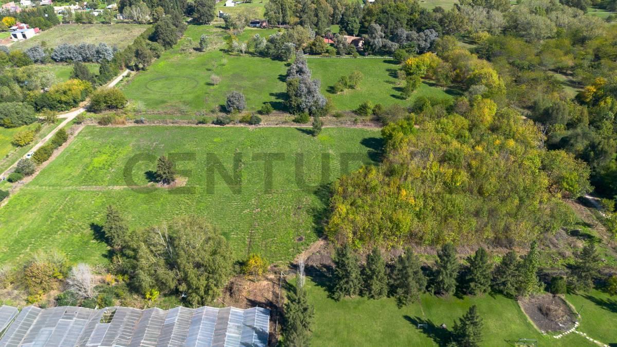Foto de LOTE HECTAREAS EN VENTA EN ABASTO LA PLATA, imagen 4