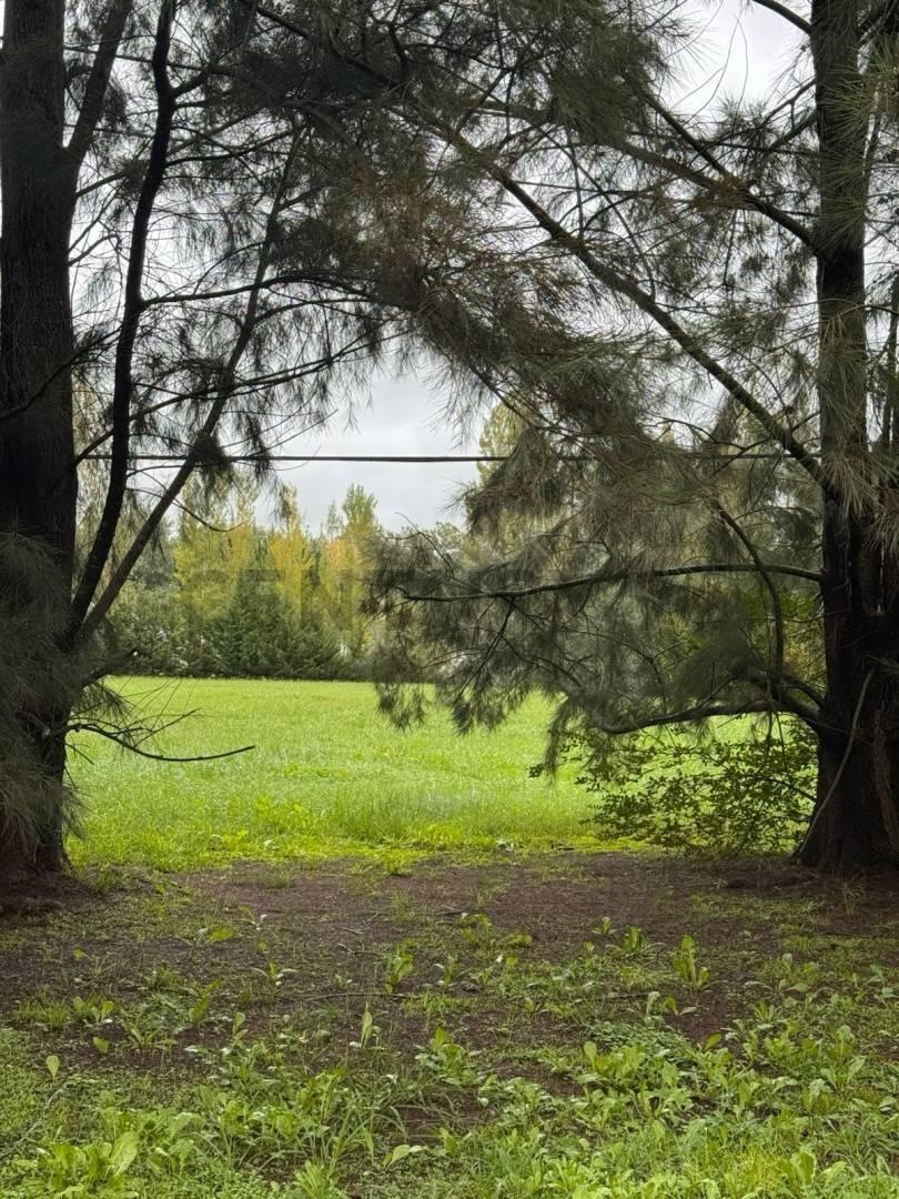 Foto de LOTE EN CAMPOS DE ROCA I - ESCRITURADO - FINANCIACION DISPONIBLE, imagen 5