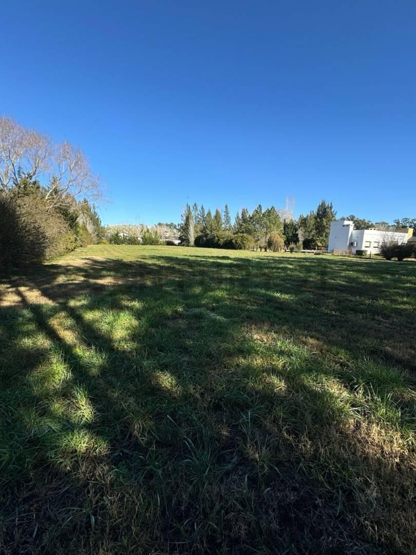 Foto de LOTE EN CAMPOS DE ROCA I - ESCRITURADO - FINANCIACION DISPONIBLE, imagen 3