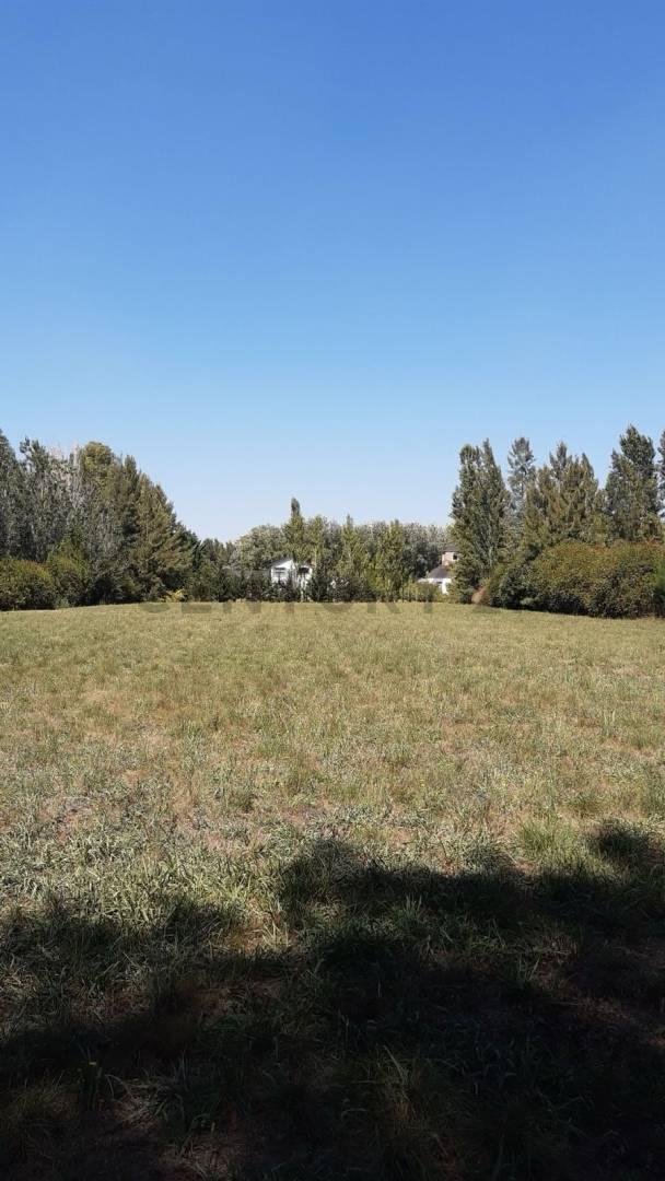 Foto de LOTE EN CAMPOS DE ROCA I - ESCRITURADO - FINANCIACION DISPONIBLE, imagen 2