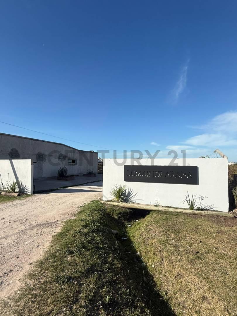 Foto de Terreno en Venta Ubicado en El Barrio Lomas de Arana, La Plata, imagen 4