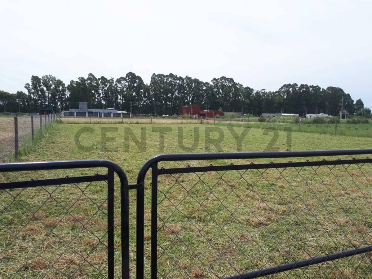 Foto de TERRENO EN VENTA 25 x 50 BARRIO EL MIRADOR DEL SUD DE ARANA. LA PLATA, imagen 3