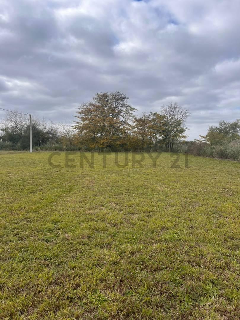 Foto de LOTE EN VENTA 23 x 50 – BARRIO EL MIRADOR DEL SUD, imagen 2