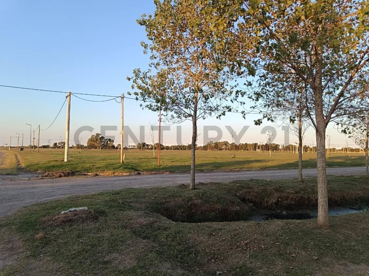 Foto de Lotes en venta en El Quimilar City Bell, imagen 1