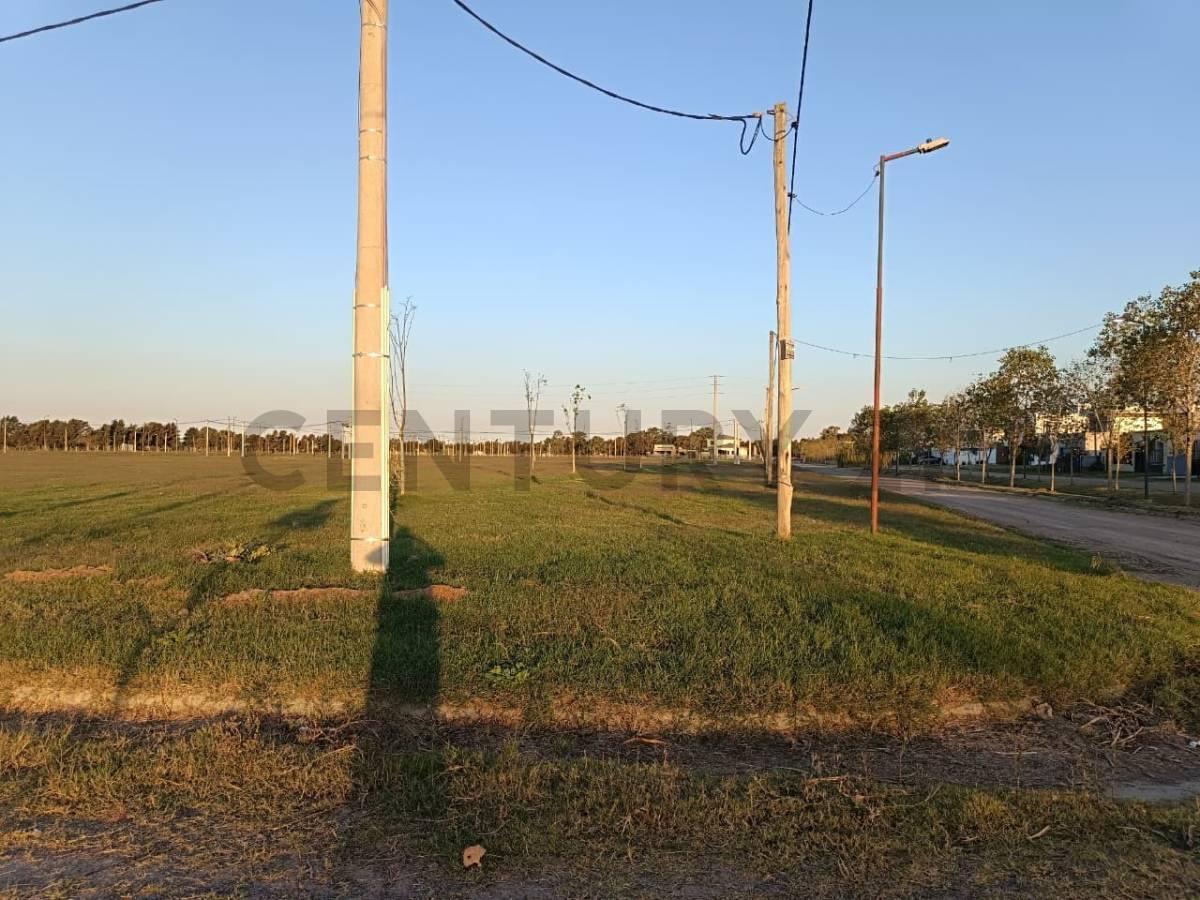 Foto de Lotes en venta en El Quimilar City Bell, imagen 5