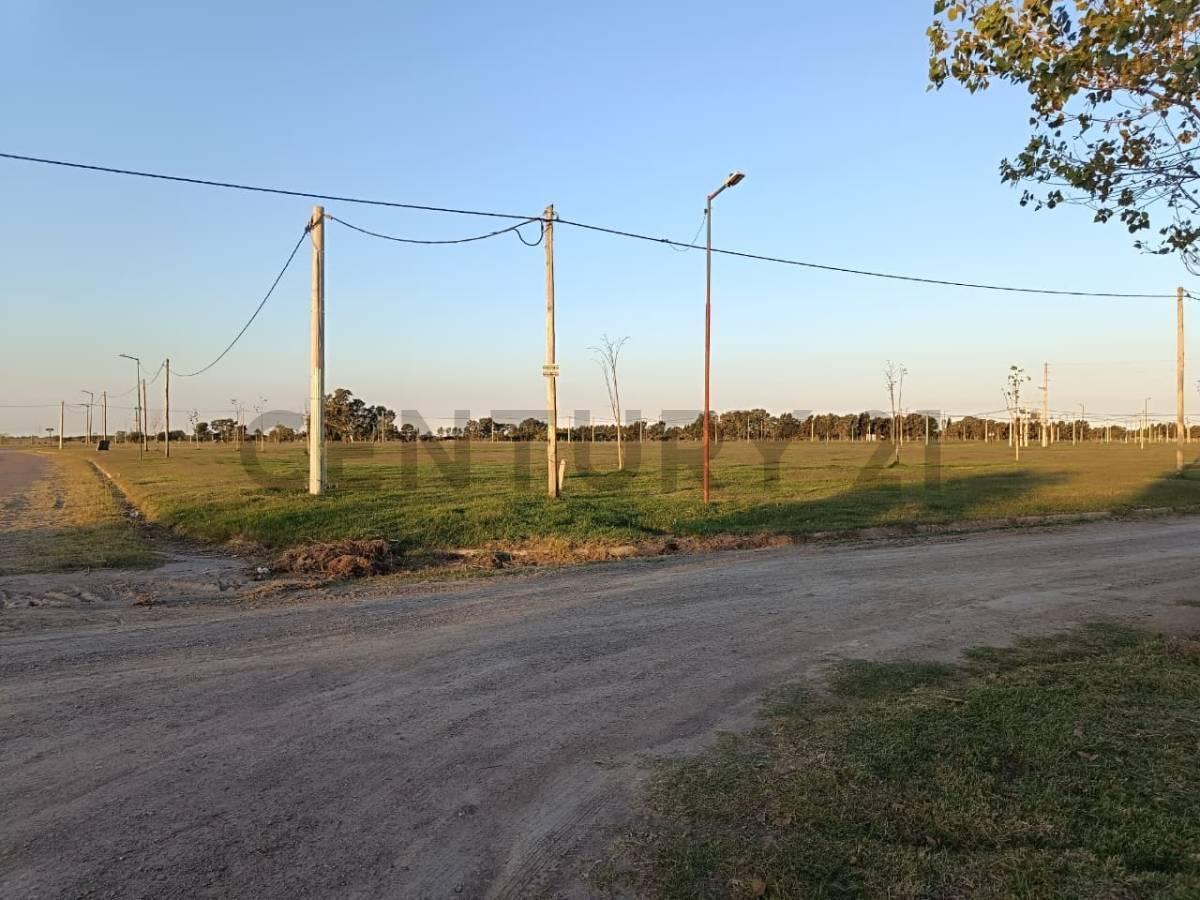 Foto de Lotes en venta en El Quimilar City Bell, imagen 2