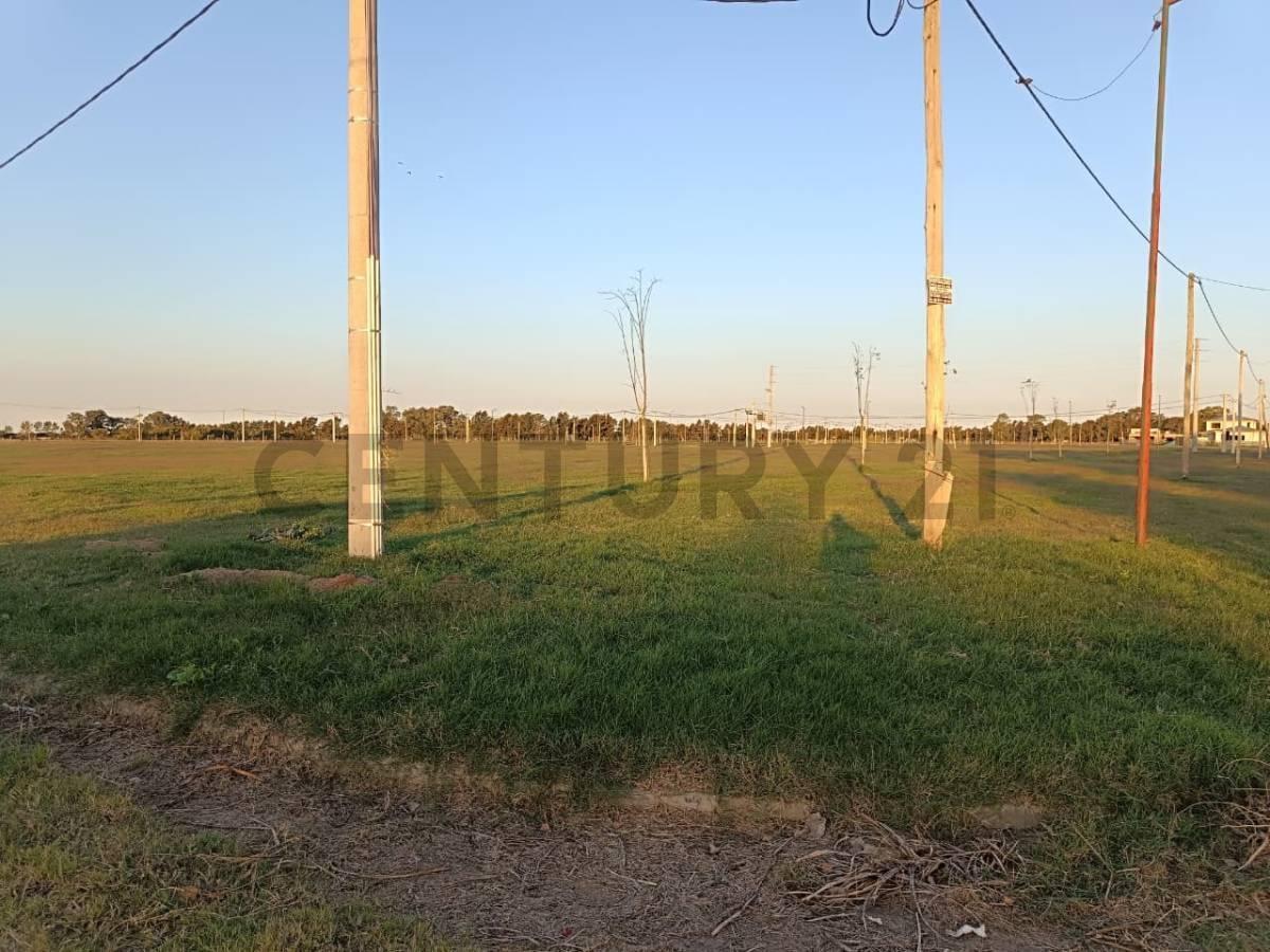 Foto de Lotes en venta en El Quimilar City Bell, imagen 4