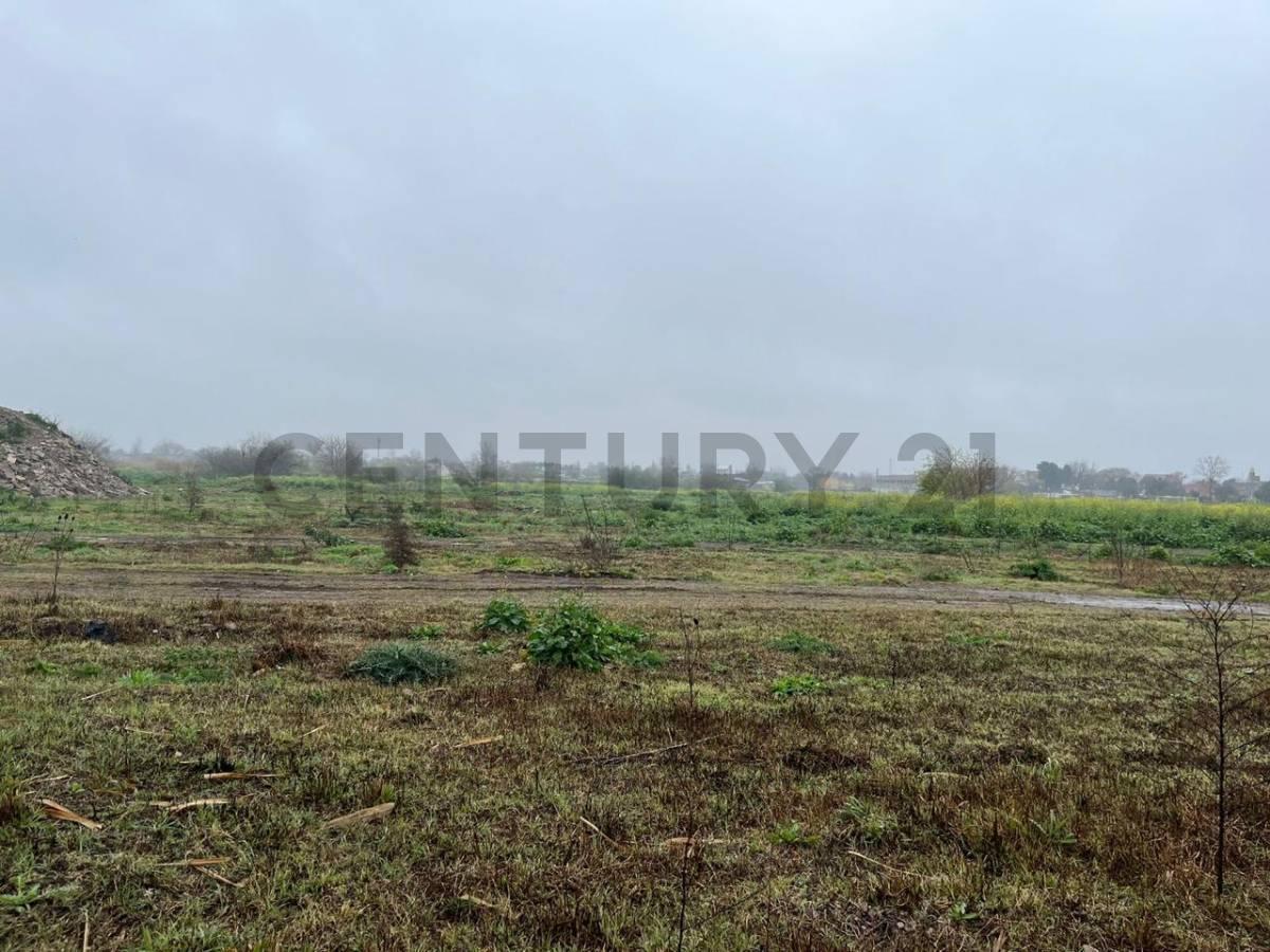 Foto de venta hectáreas merlo libertad, imagen 2