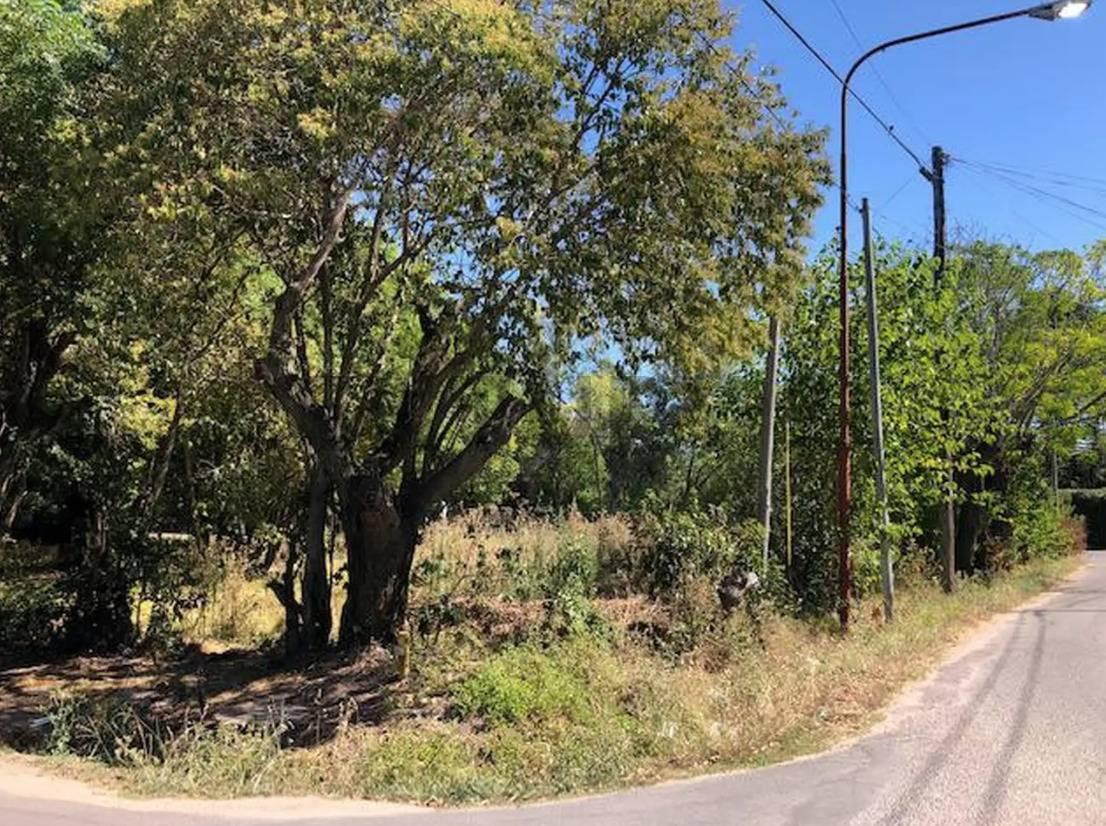 Foto de LOTE EN VENTA LA PLATA, imagen 4