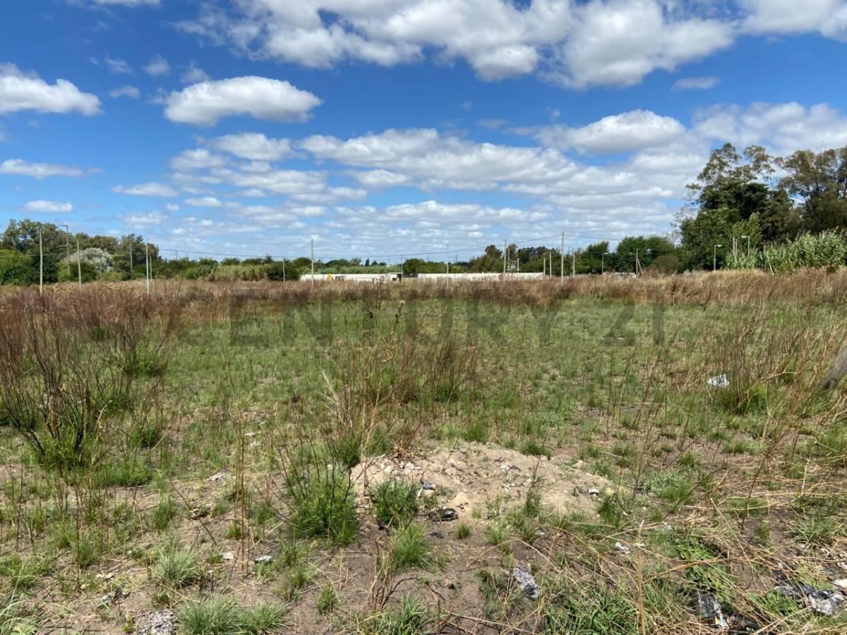 Foto de Lote en venta en La Plata, imagen 2