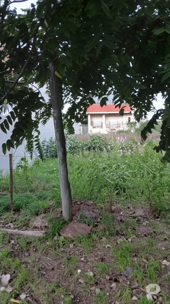 Foto de Lote en venta en Gonnet, imagen 1