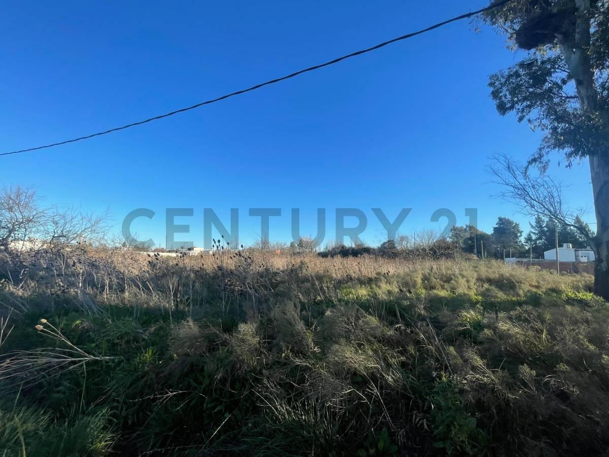 Foto de Terreno lote en venta Parque Sicardi La Plata, imagen 3