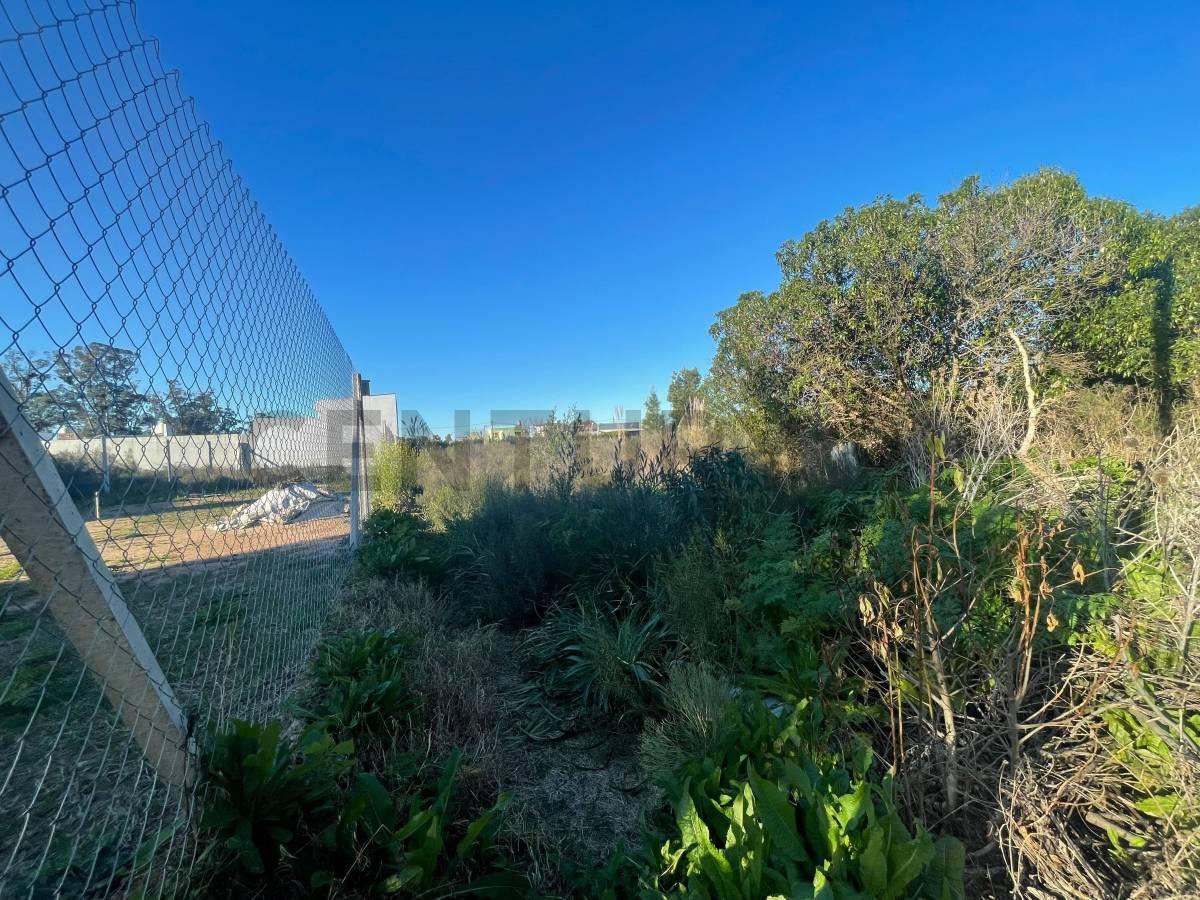 Foto de Terreno lote en venta Parque Sicardi La Plata, imagen 1