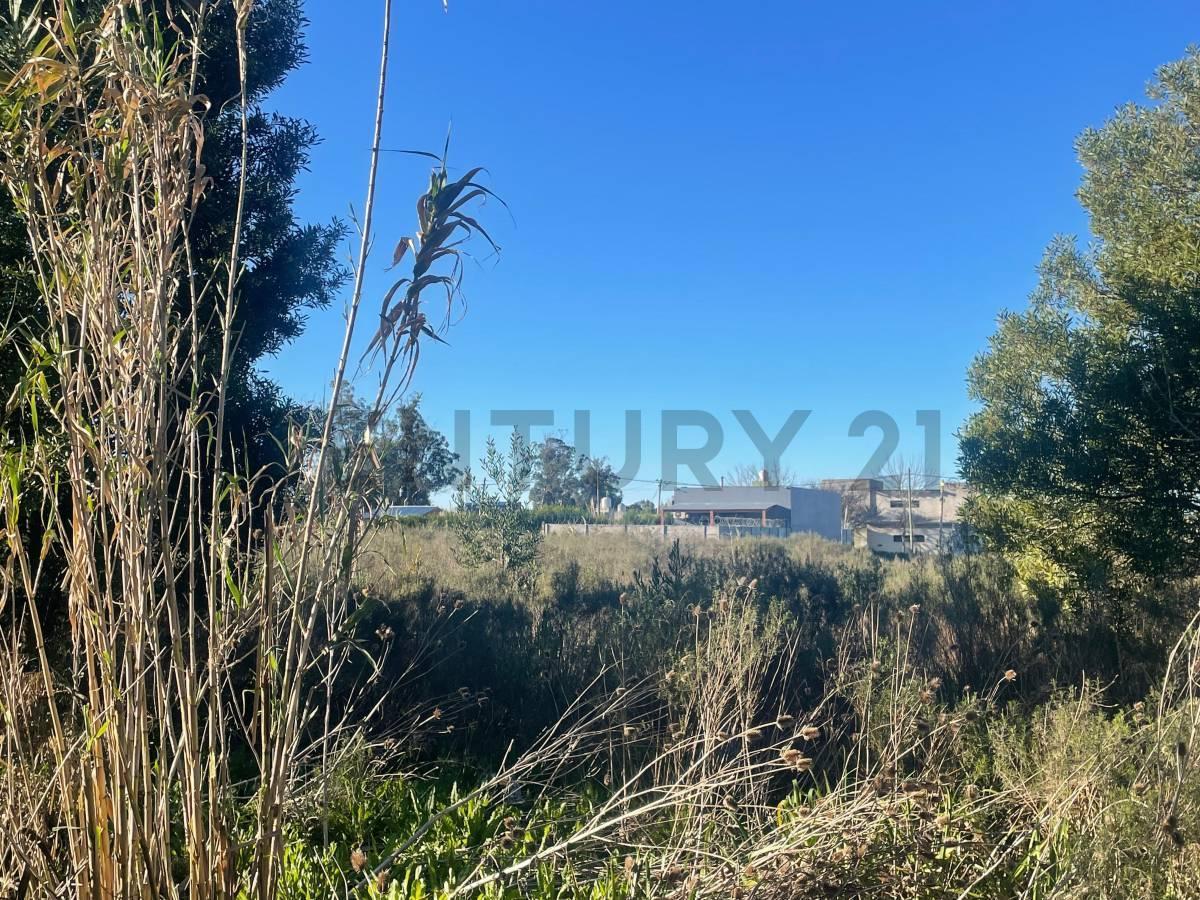 Foto de Terreno lote en venta Parque Sicardi La Plata, imagen 4