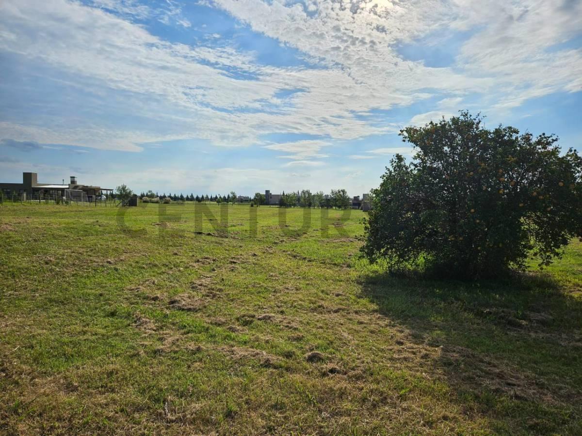 Foto de LOTE EN VENTA EL MIRADOR CLUB DE CAMPO - BRANDSEN, imagen 1