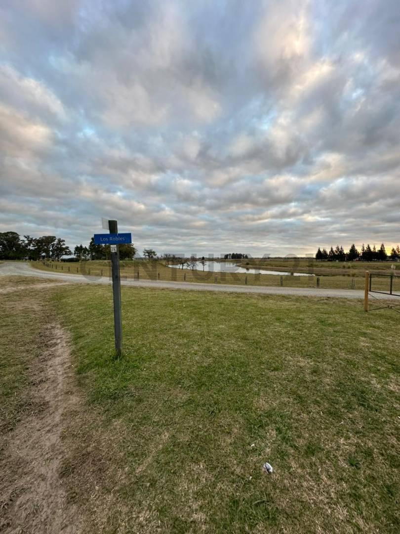 Foto de LOTE EN VENTA EL MIRADOR CLUB DE CAMPO - BRANDSEN, imagen 5