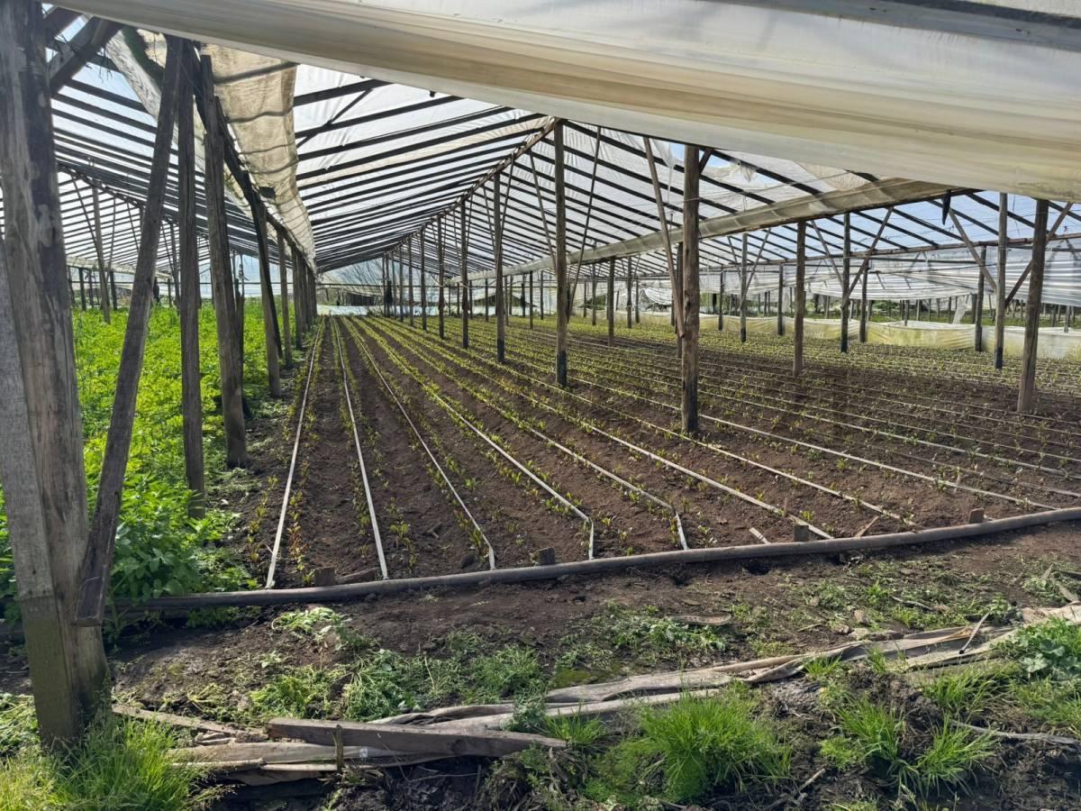 Foto de Fracción en venta en La Plata, imagen 1