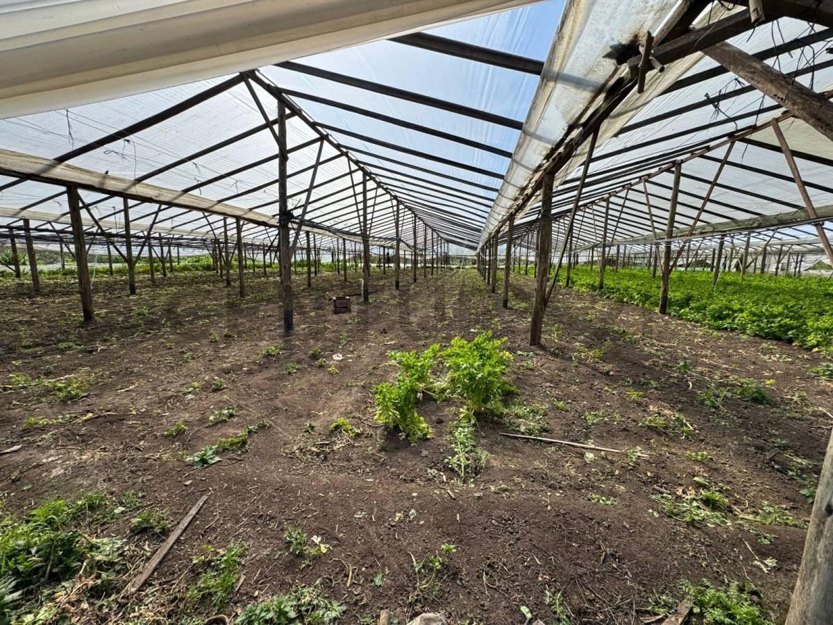 Foto de Fracción en venta en La Plata, imagen 3