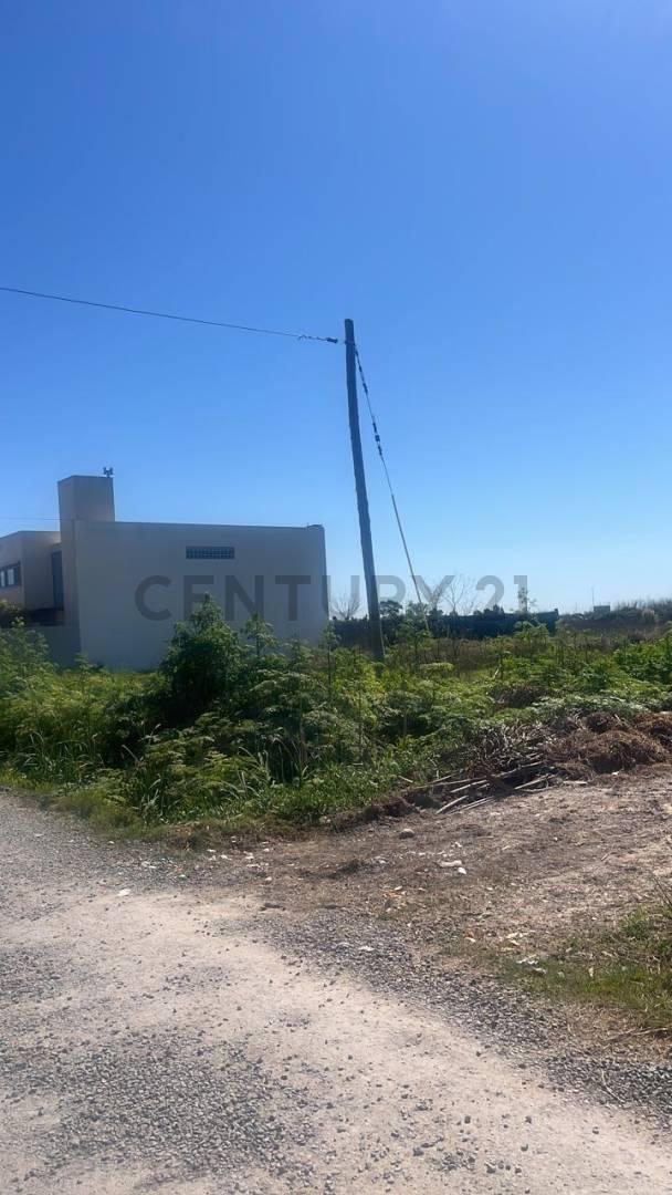 Foto de Lote en venta en calle 3 y 500 Gonnet, imagen 2