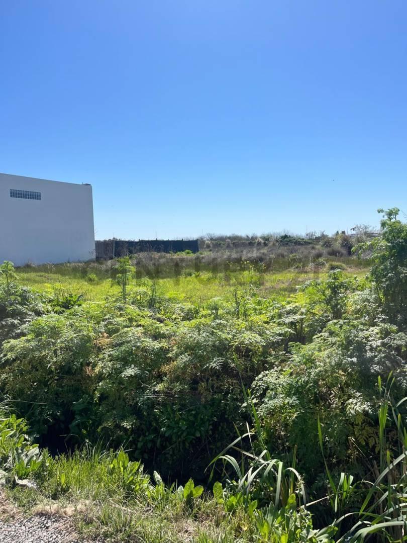 Foto de Lote en venta en calle 3 y 500 Gonnet, imagen 3
