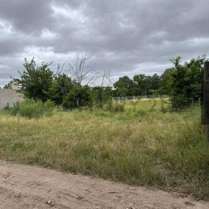 Foto de Terreno en venta de Arturo Segui de 467 metros cuadrados, imagen 3