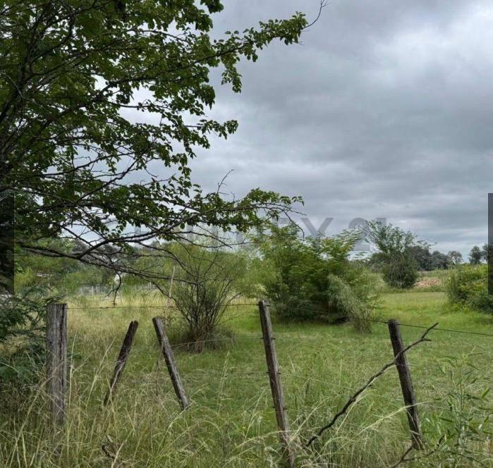 Foto de Terreno en venta de Arturo Segui de 467 metros cuadrados, imagen 2