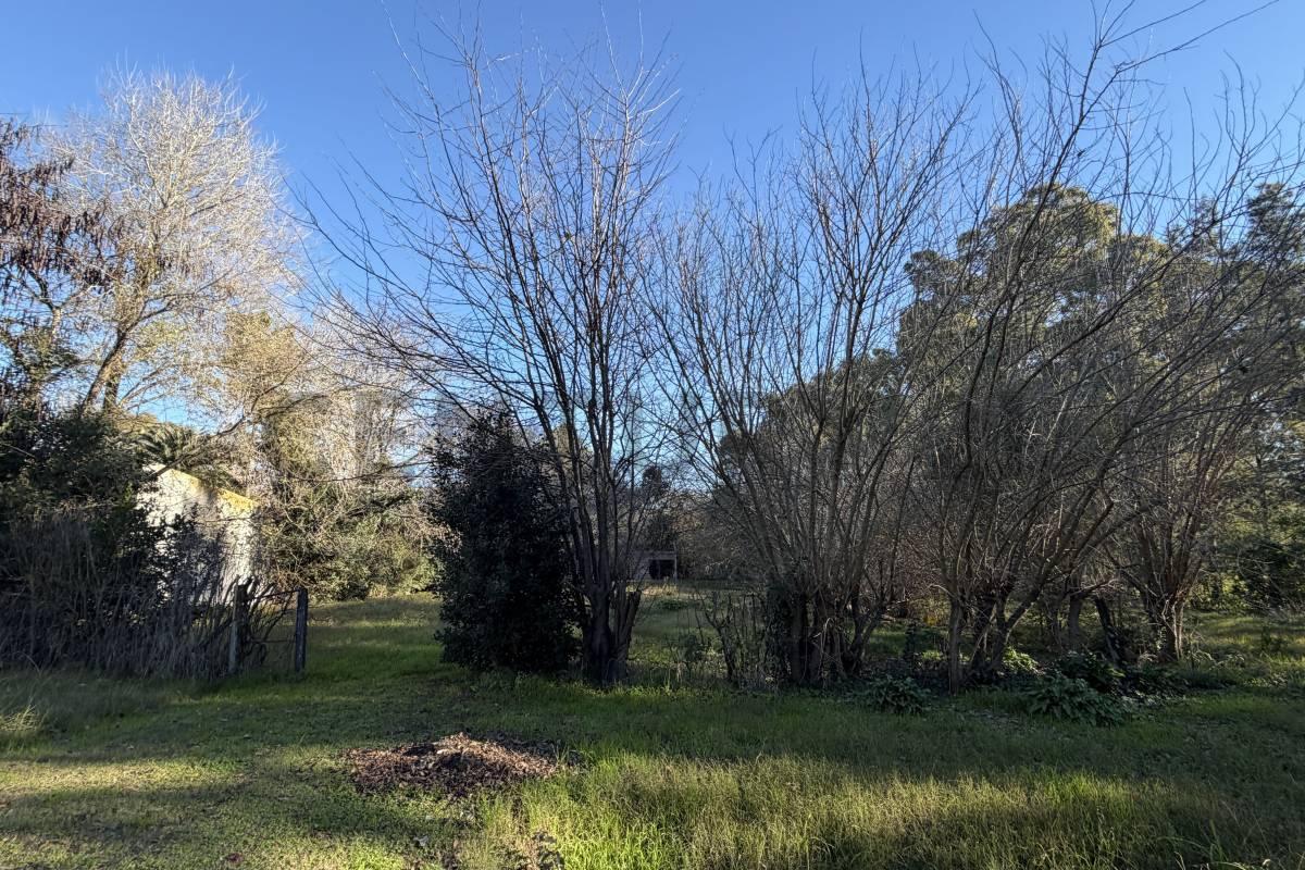 Foto de LOTE EN VENTA EN LA PLATA, imagen 5