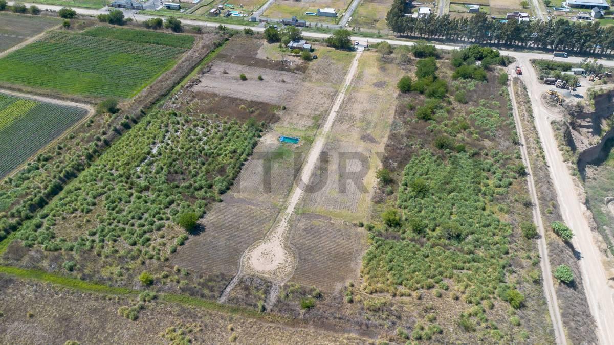 Foto de LOTE EN VENTA EN LA PLATA, DESARROLLO TRÉBOL I, imagen 5