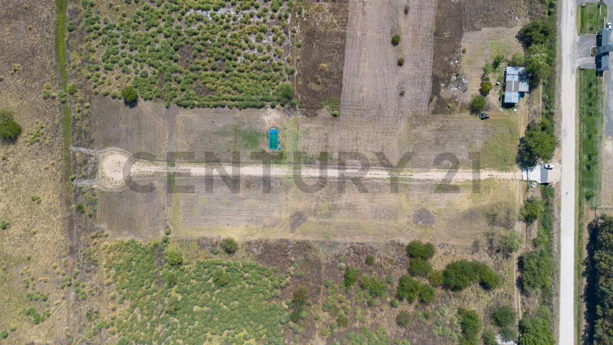 Foto de LOTE EN VENTA EN LA PLATA, DESARROLLO TRÉBOL I, imagen 1