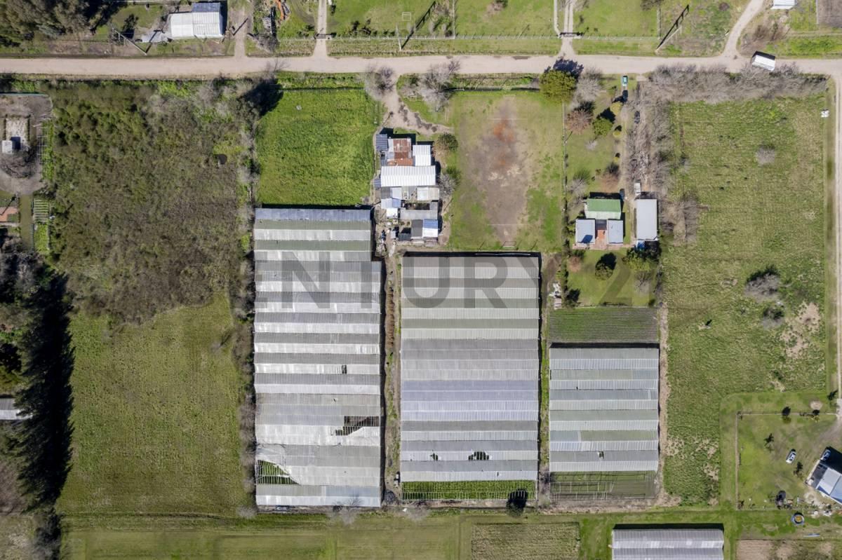 Foto de FRACCION DE TIERRA EN VENTA EN ABASTO LA PLATA, imagen 2