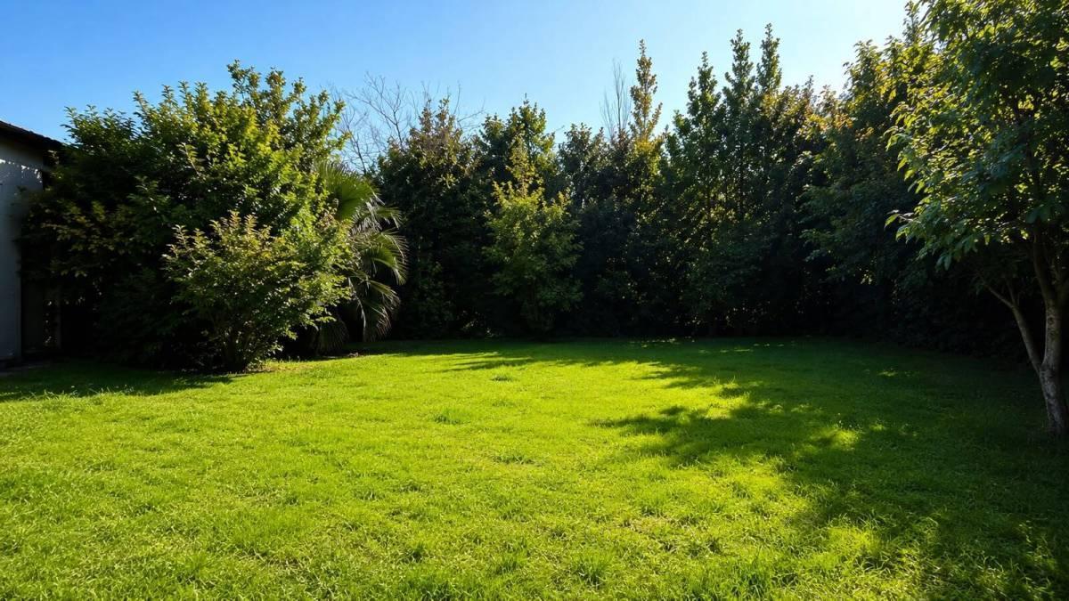 Foto de LOTE EN VENTA EN CITY BELL, imagen 1