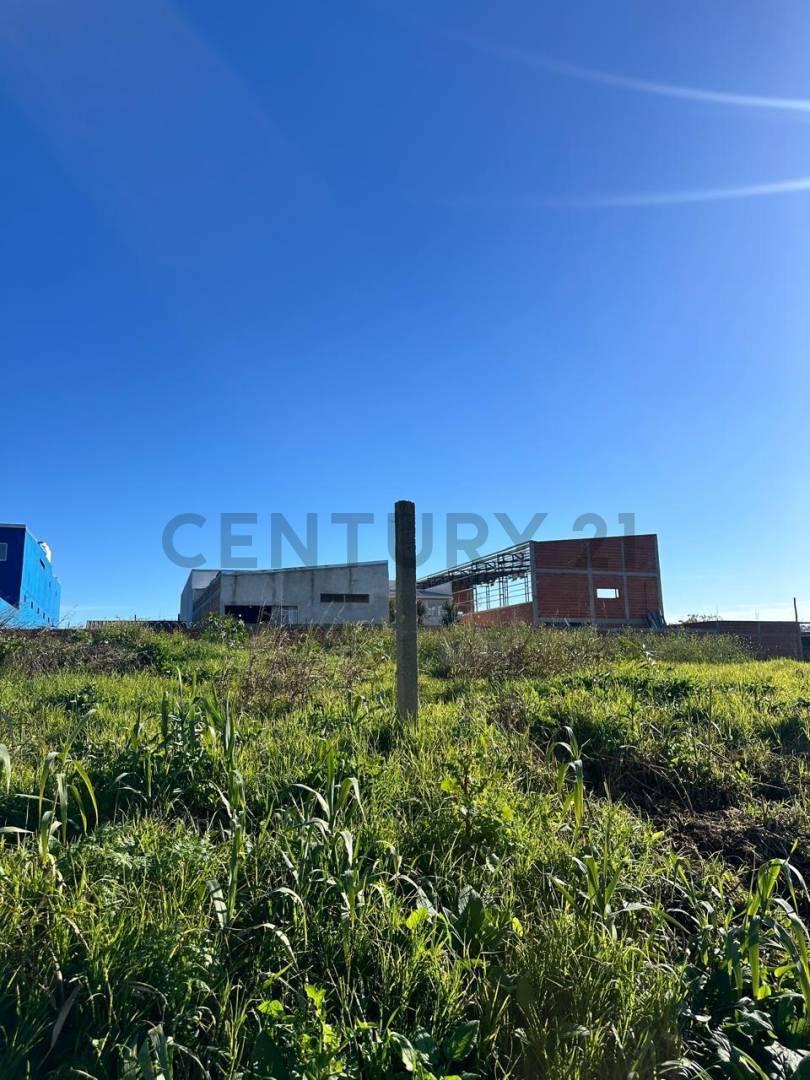 Foto de LOTE EN VENTA EN LA PLATA, VILLA ELVIRA, imagen 1