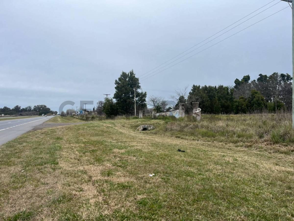Foto de LOTE EN VENTA EN LEZAMA, imagen 5