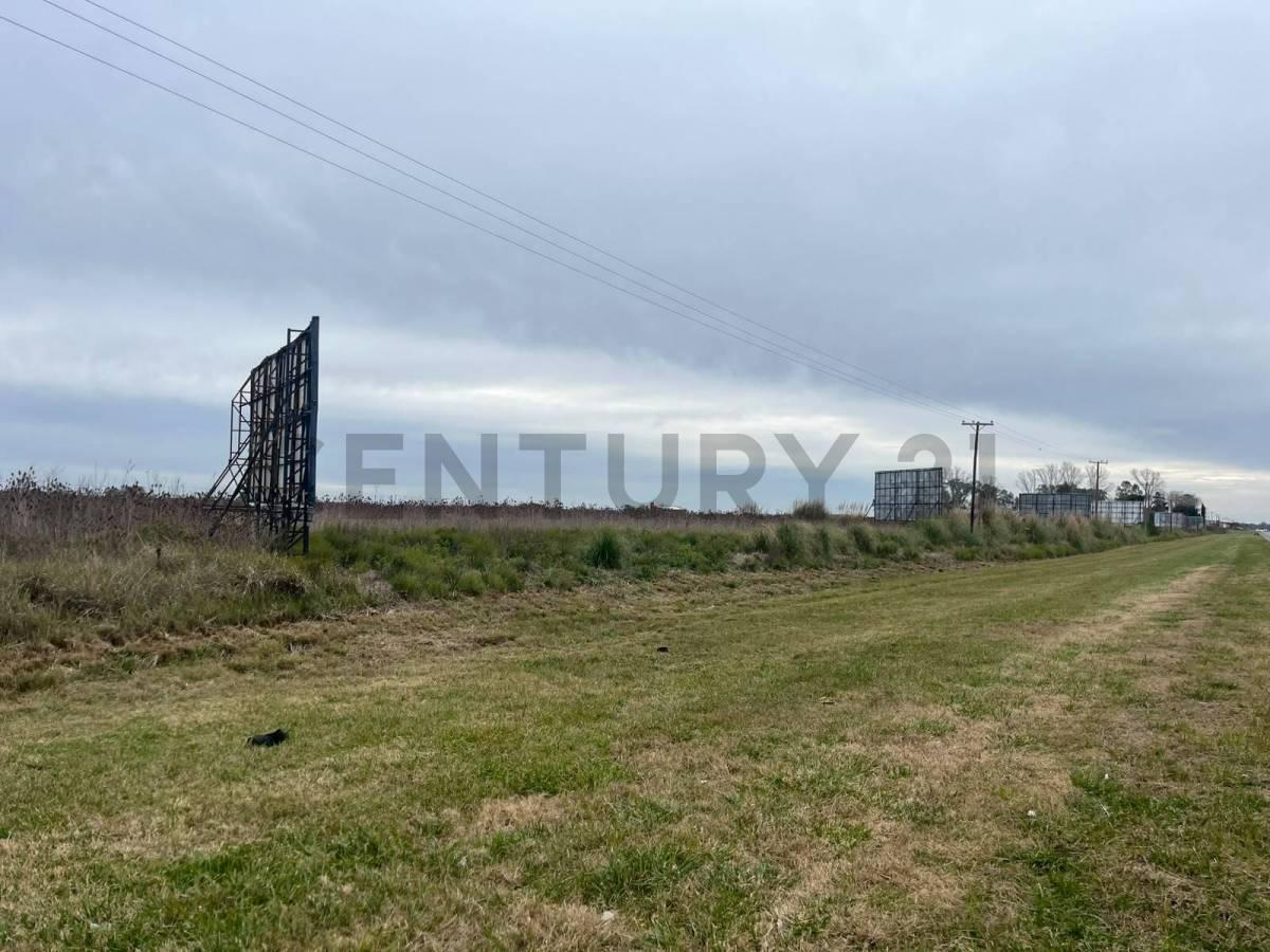 Foto de LOTE EN VENTA EN LEZAMA, imagen 1
