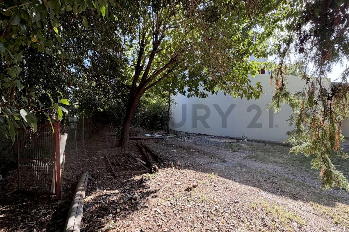 Foto de LOTE EN VENTA EN GONNET, imagen 4