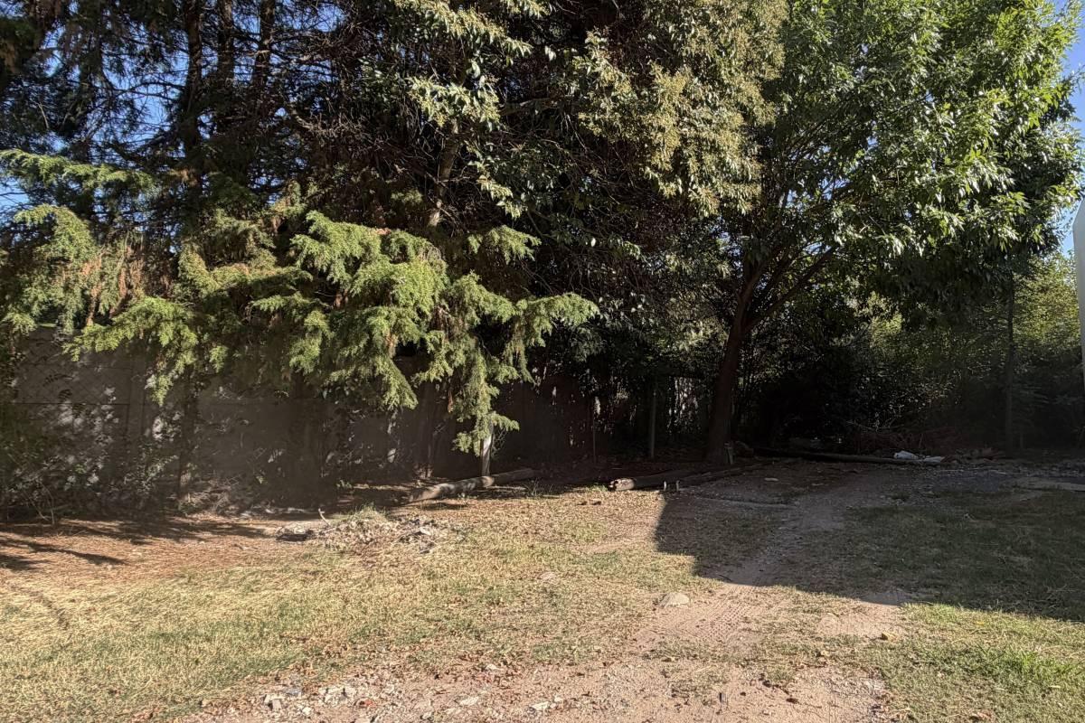 Foto de LOTE EN VENTA EN GONNET, imagen 2