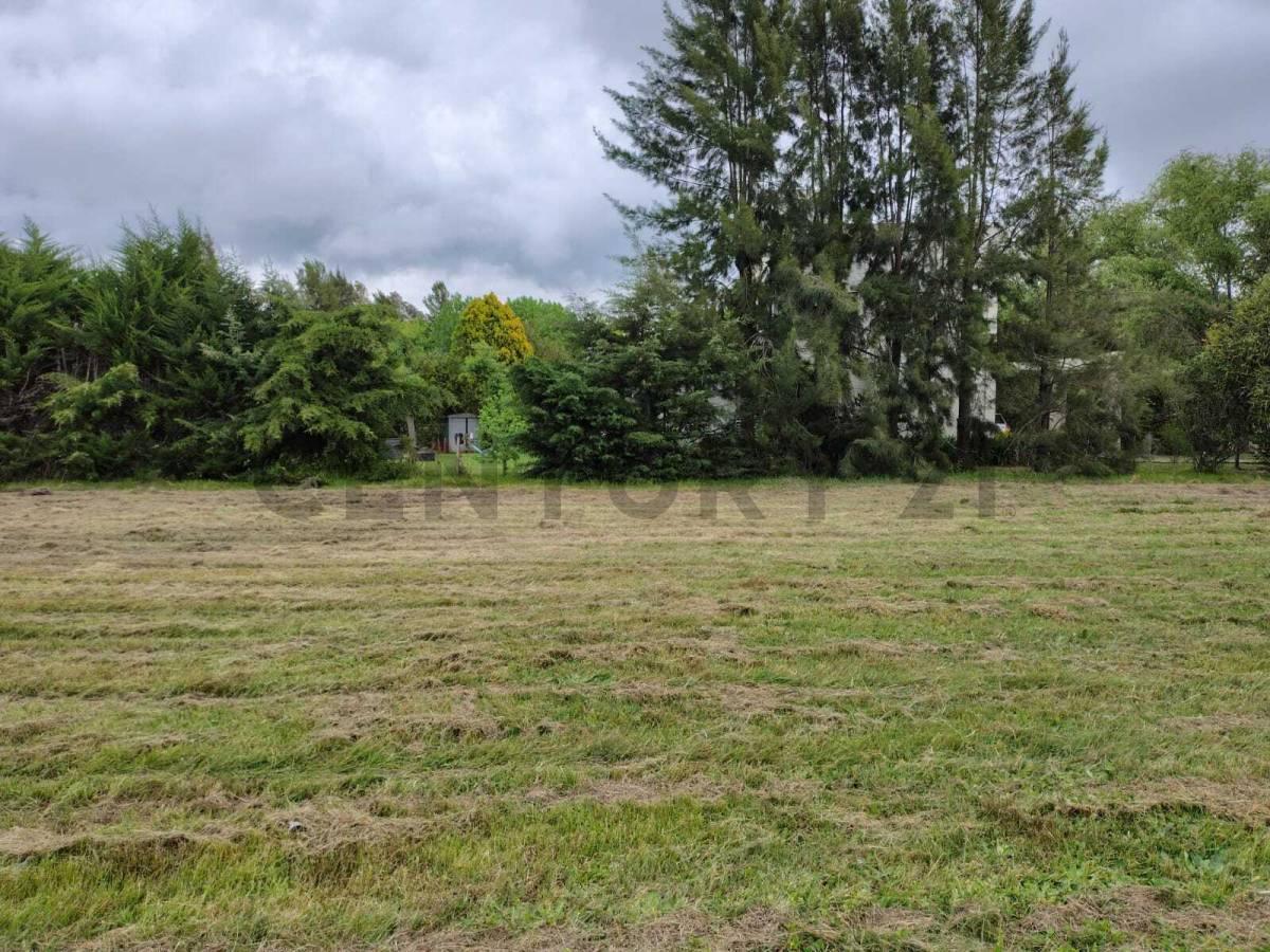 Foto de Lote en venta en Haras del Sur 1- OPORTUNIDAD, imagen 3
