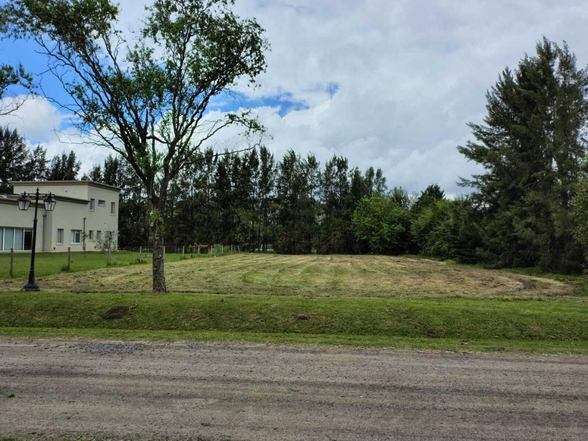 Foto de Lote en venta en Haras del Sur 1- OPORTUNIDAD, imagen 1
