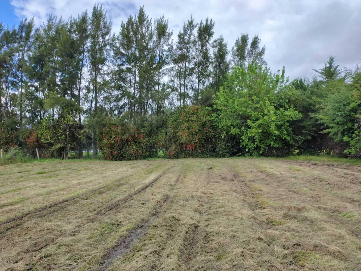Foto de Lote en venta en Haras del Sur 1- OPORTUNIDAD, imagen 4